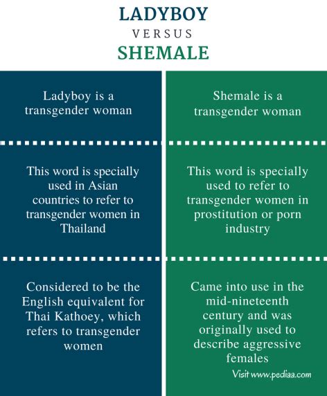 tranny vs shemale|What’s the Difference Between Being Transgender and。